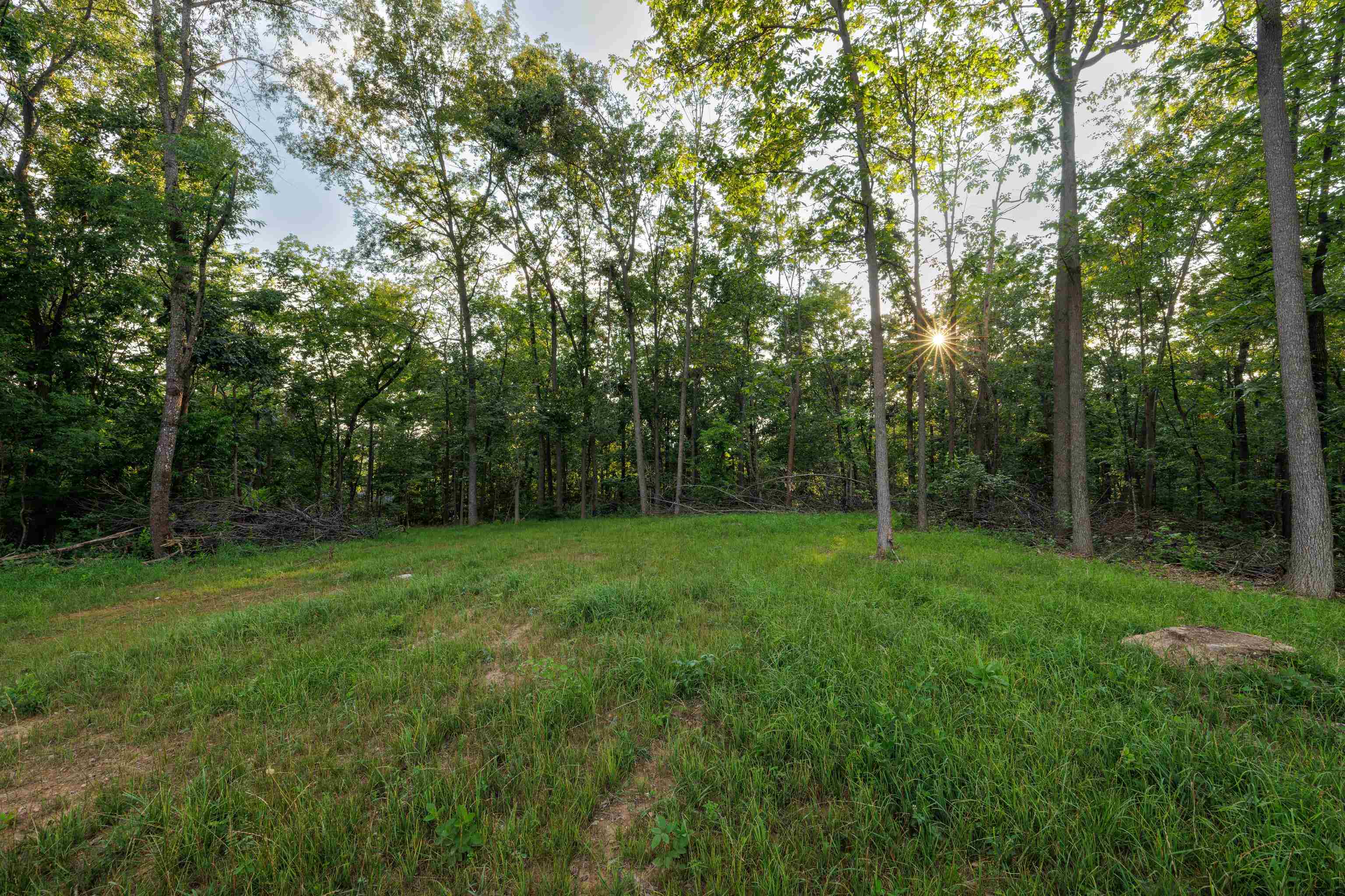 0 Stuarts Draft Highway Stuarts Draft, VA 24477 - Photo 2 of 18 a view of outdoor space and yard