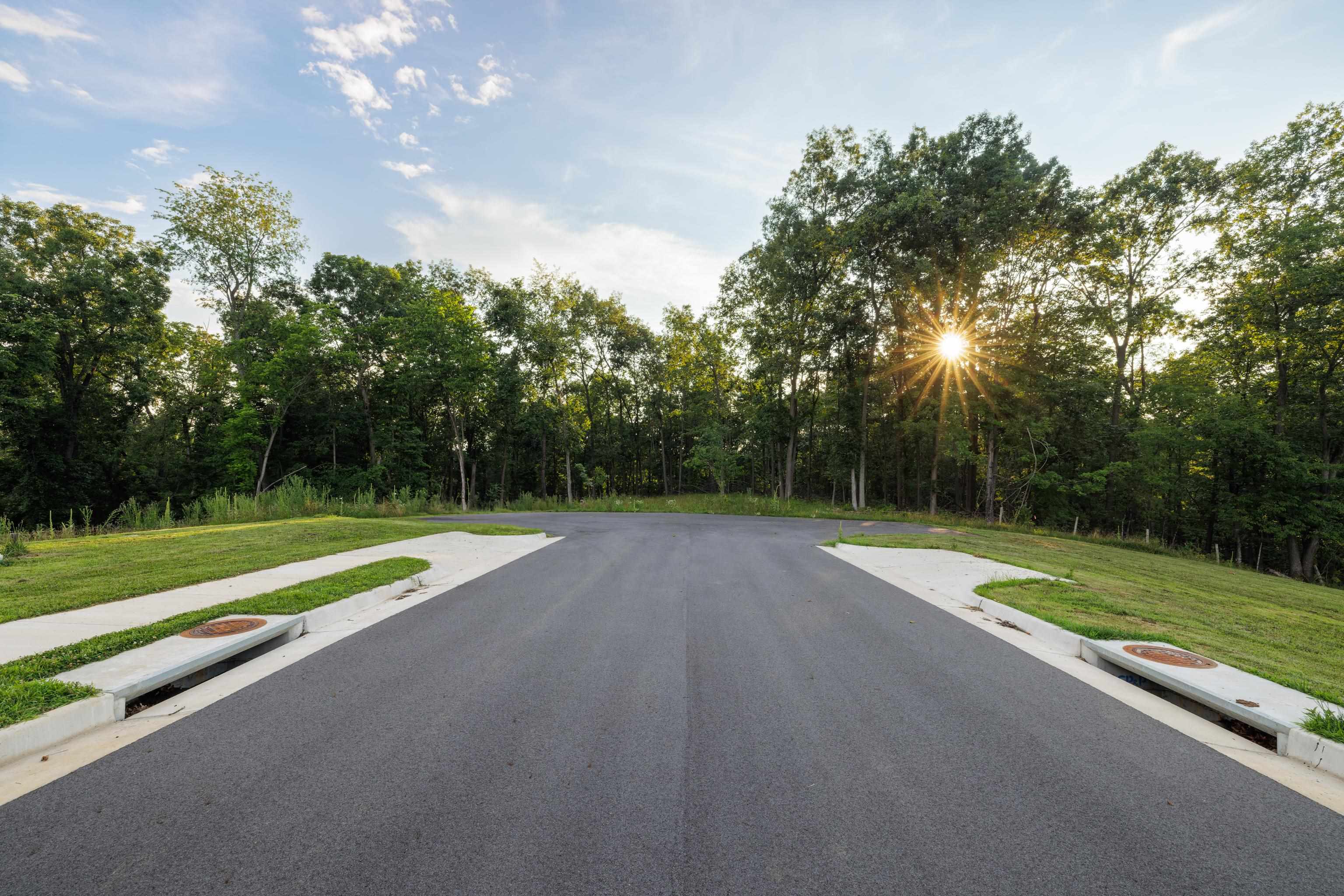 0 Stuarts Draft Highway Stuarts Draft, VA 24477 - Photo 5 of 18 a view of field with large trees