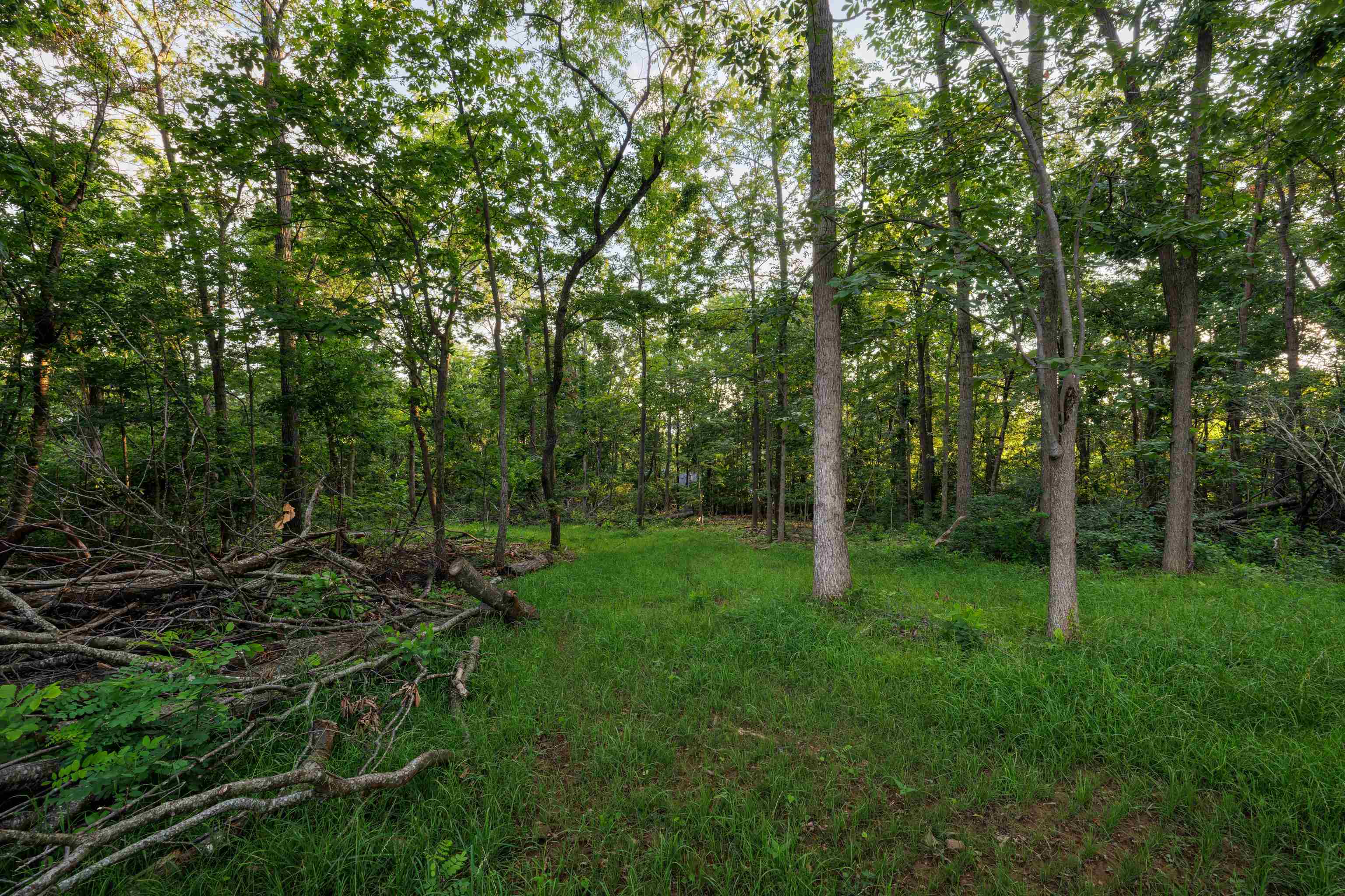 0 Stuarts Draft Highway Stuarts Draft, VA 24477 - Photo 8 of 18 a view of outdoor space and yard