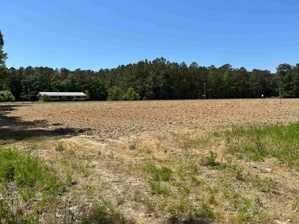 $100,000 | Tbd Pleasant Hill Drive, Hemingway, SC 29554