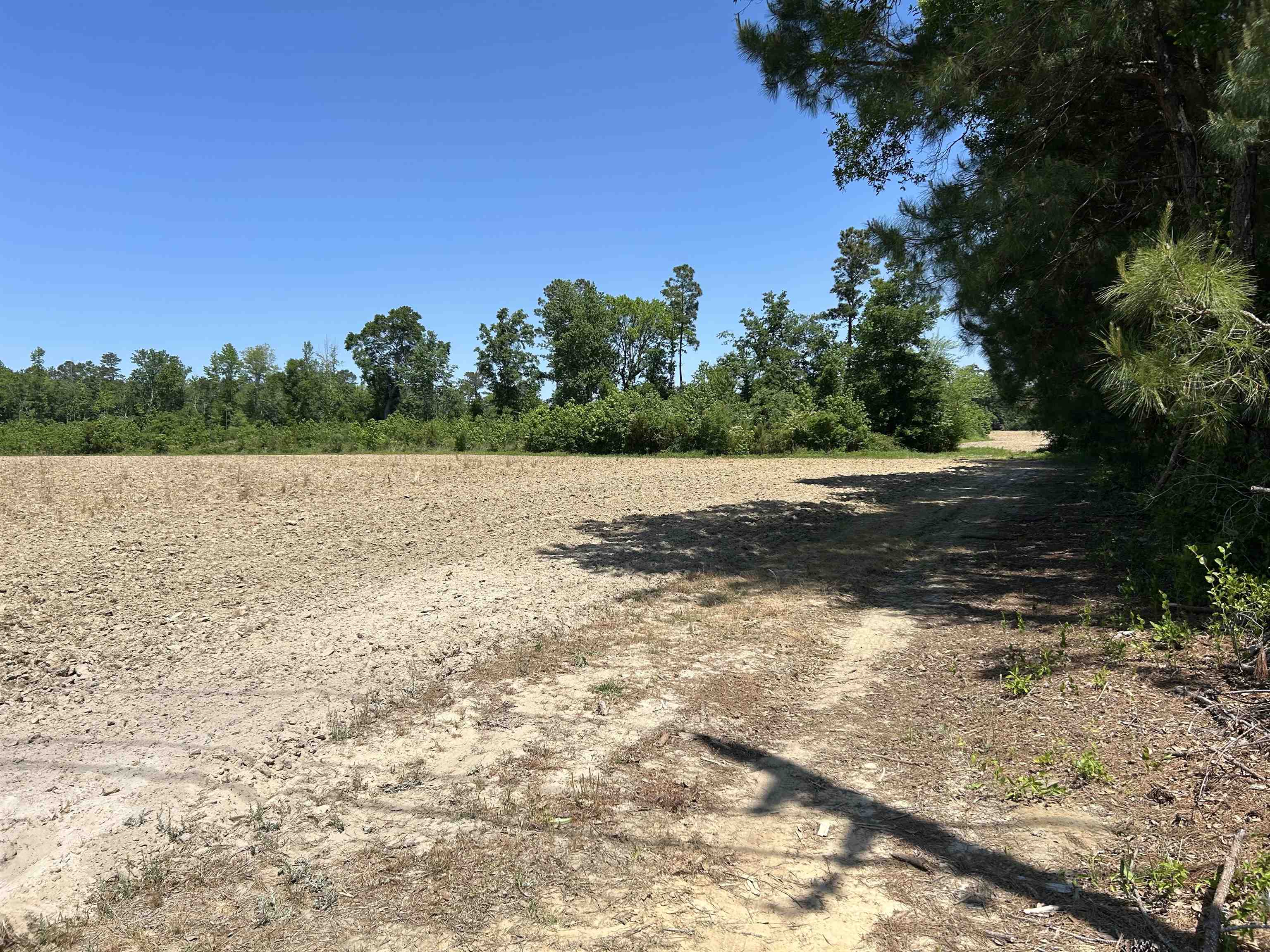 Tbd Pleasant Hill Drive Hemingway, SC 29554 - Photo 2 of 4