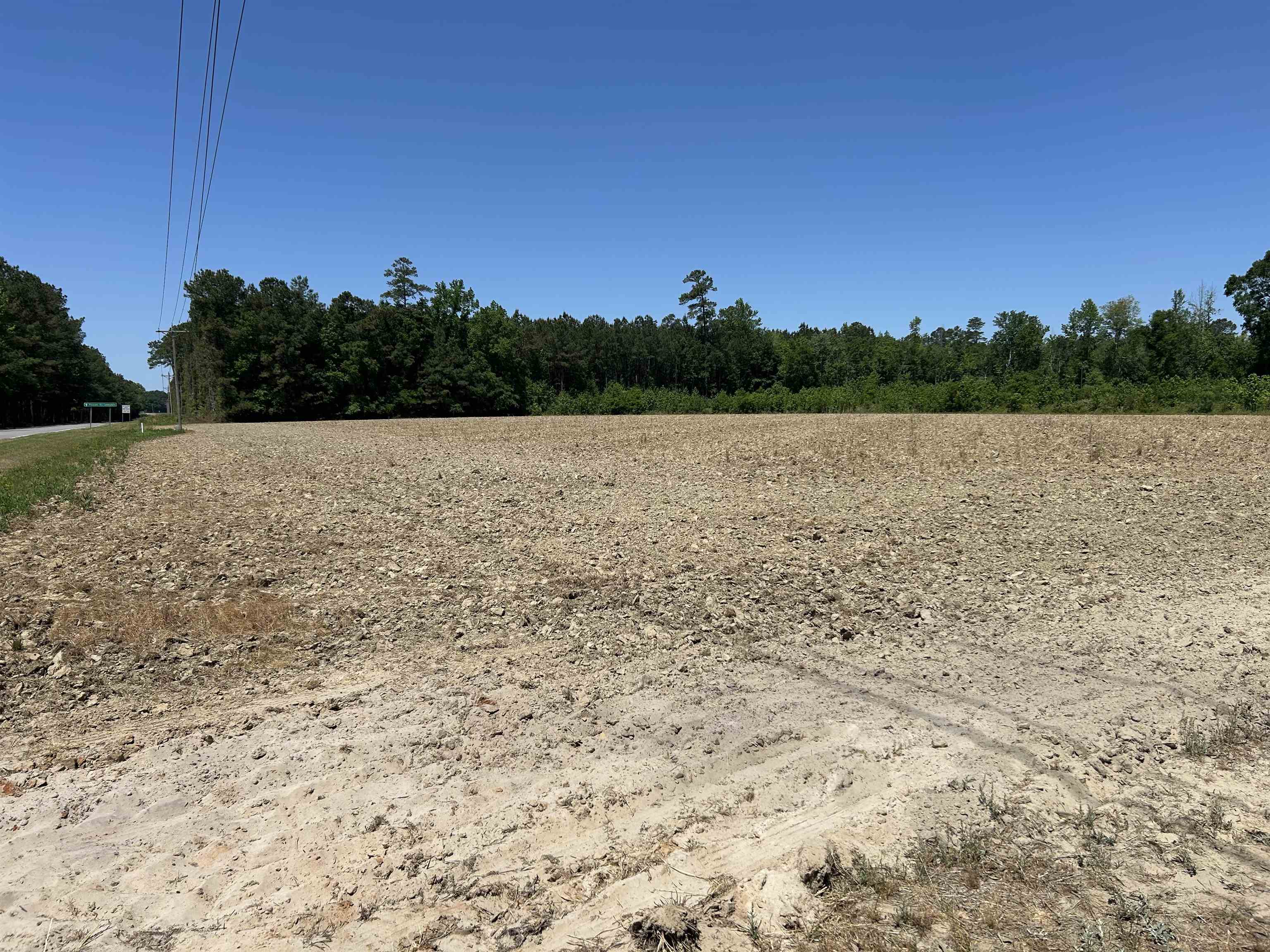 Tbd Pleasant Hill Drive Hemingway, SC 29554 - Photo 3 of 4