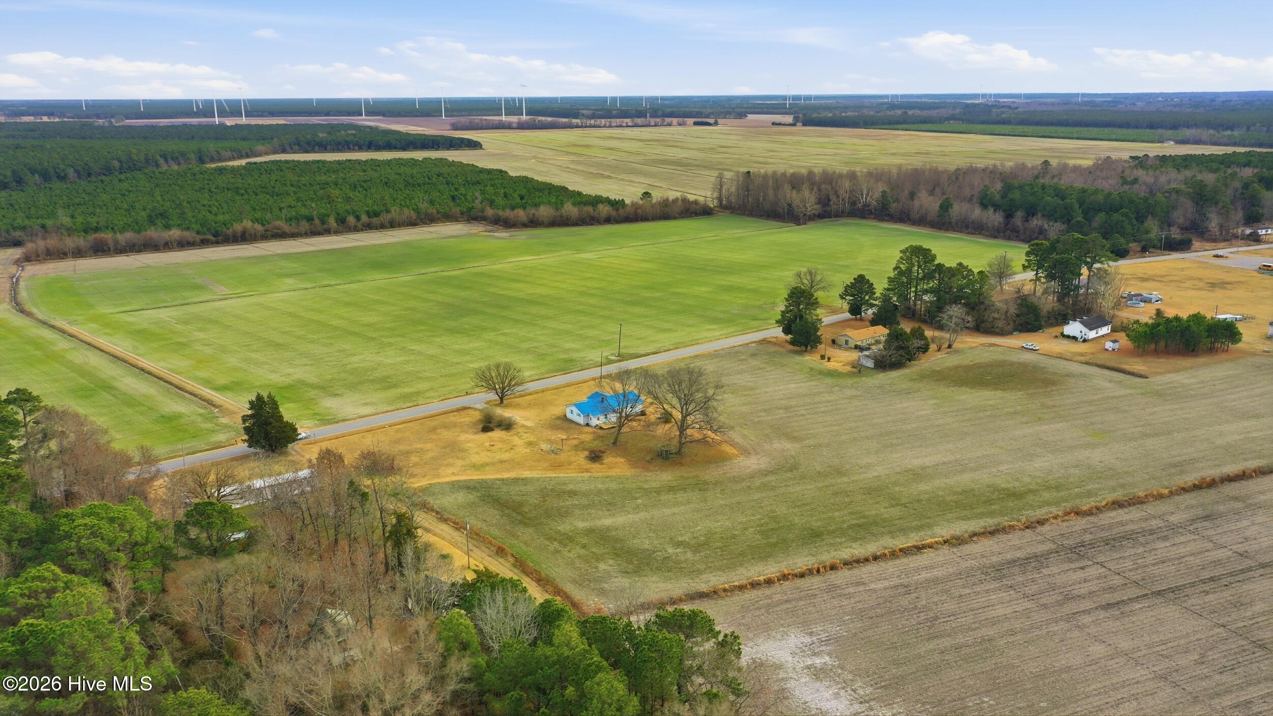 449 Sandy Ridge Road Edenton, NC 27932 - Photo 36 of 37 Acreage