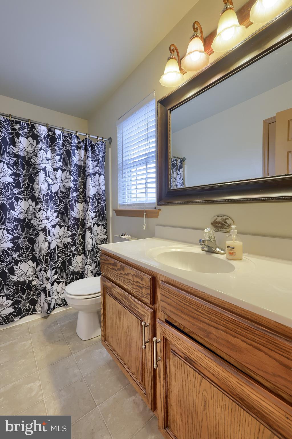 100 Roxberry Drive Reading, PA 19608 - Photo 34 of 46 a bathroom with a sink a toilet and a mirror