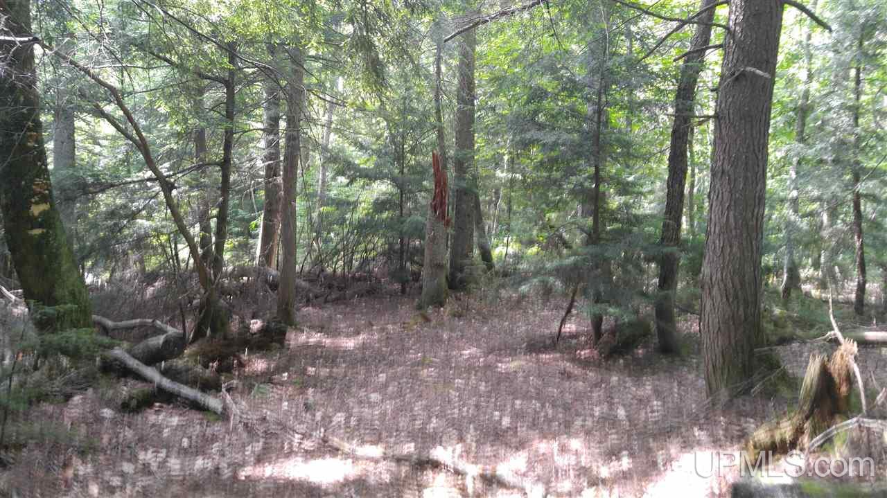 33-acres Sigar Camp Road Seney, MI 49883 - Photo 15 of 22