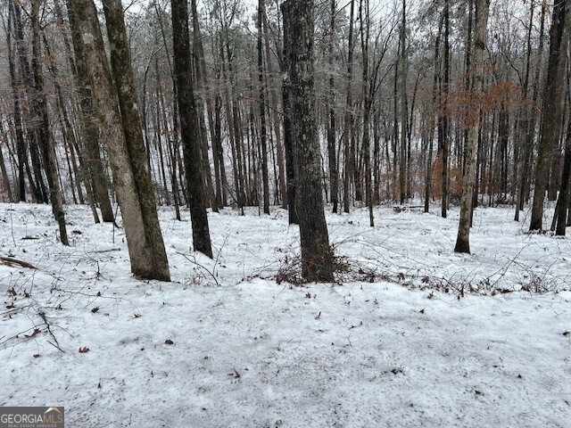 0 Bullock Bridge Road, Unit TRACT 2 Loganville, GA 30656 - Photo 17 of 36 a view of a dry yard with trees