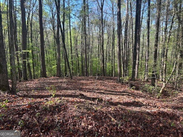 0 Bullock Bridge Road, Unit TRACT 2 Loganville, GA 30656 - Photo 23 of 36 a view of outdoor space and yard