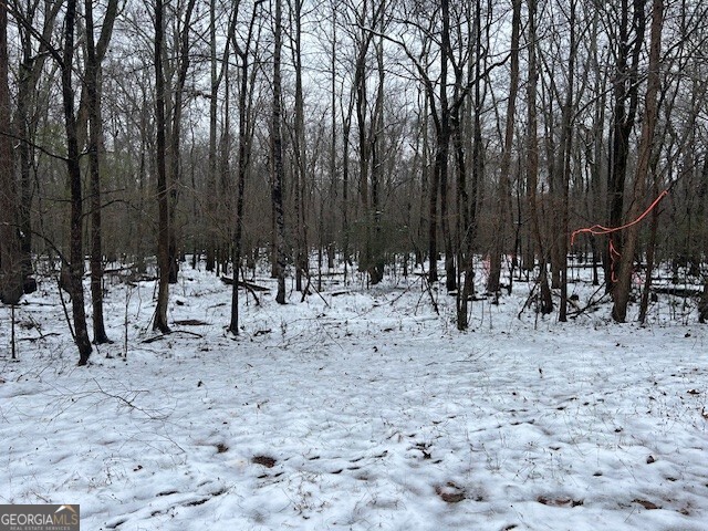 0 Bullock Bridge Road, Unit TRACT 2 Loganville, GA 30656 - Photo 24 of 36 a view of outdoor space with chairs