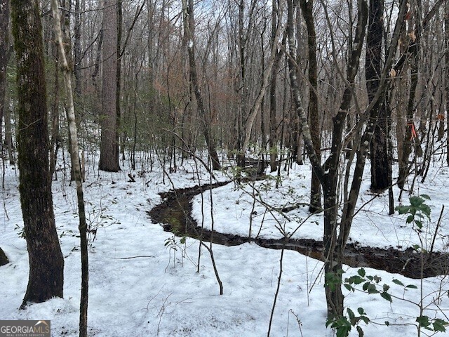 0 Bullock Bridge Road, Unit TRACT 2 Loganville, GA 30656 - Photo 26 of 36 a view of swimming pool with a yard