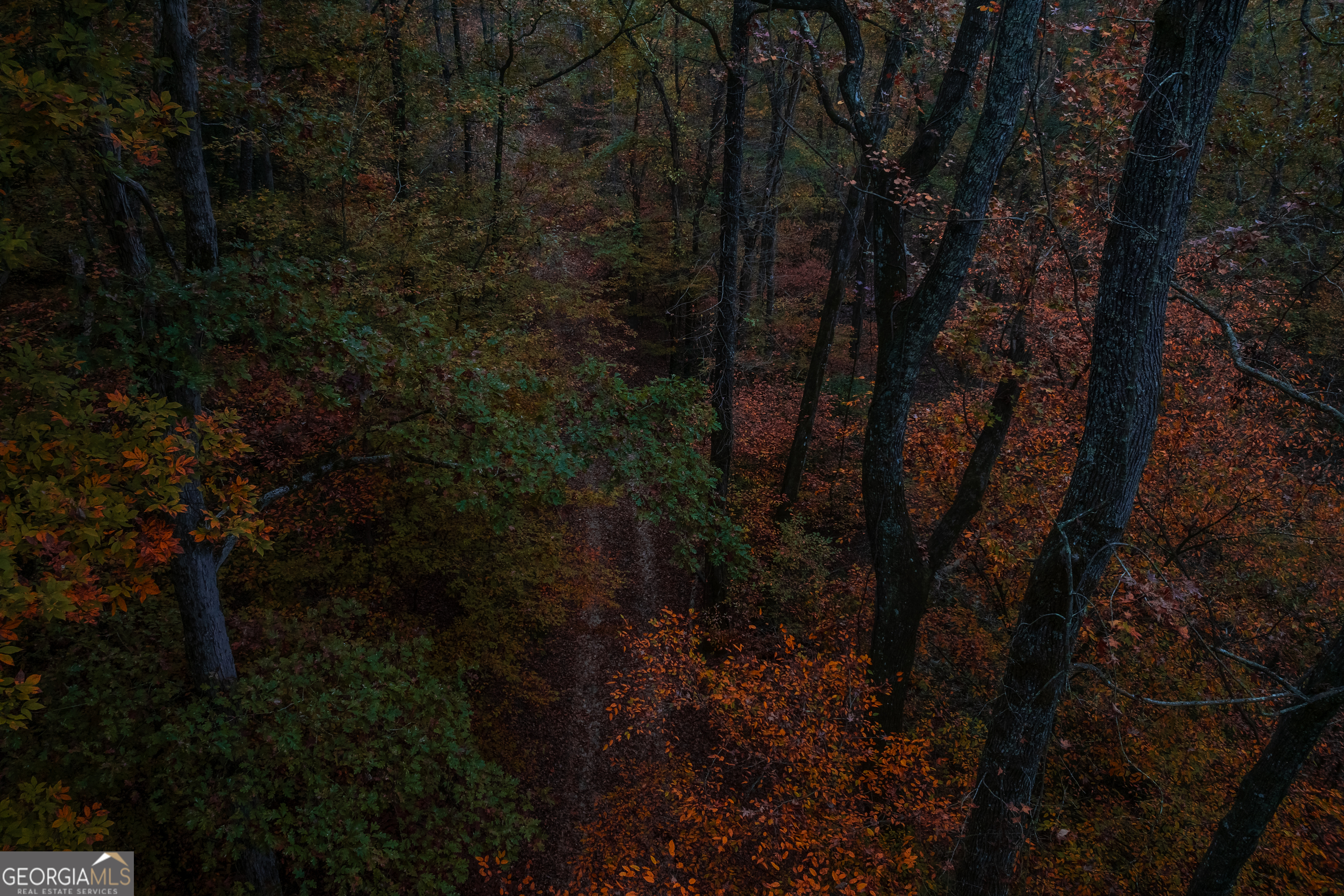 0 Bullock Bridge Road, Unit TRACT 2 Loganville, GA 30656 - Photo 31 of 36 a view of outdoor space and covered with trees