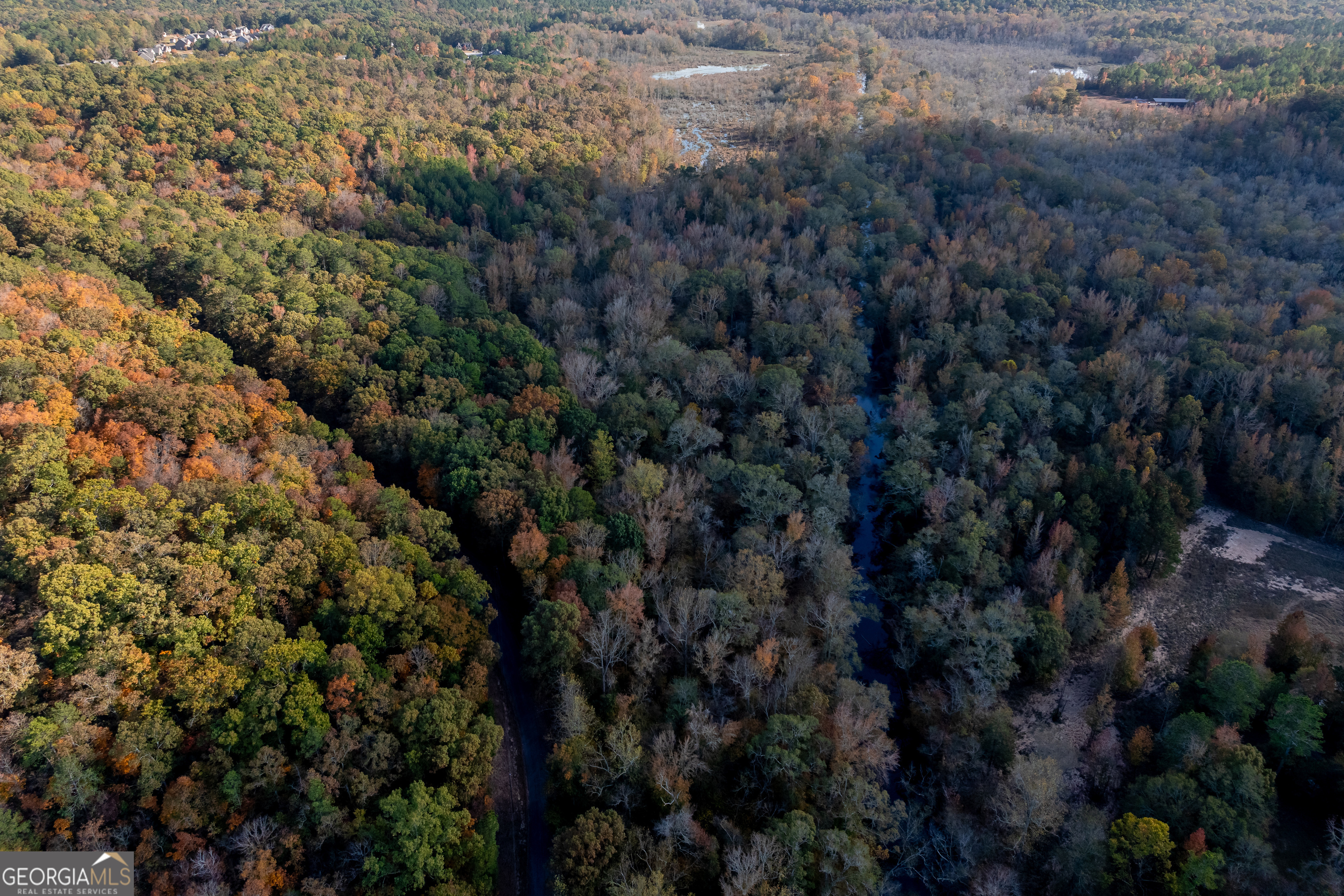 0 Bullock Bridge Road, Unit TRACT 2 Loganville, GA 30656 - Photo 10 of 36 a view of a forest