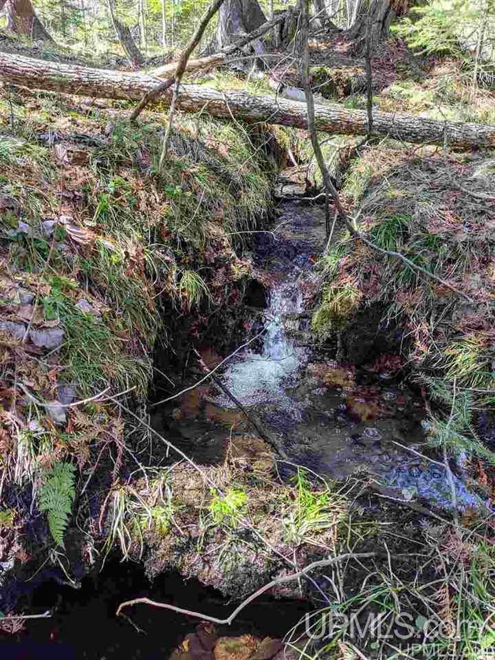 Tbd Off Leeman Road, Unit SENW NESW Sagola, MI 49881 - Photo 15 of 18