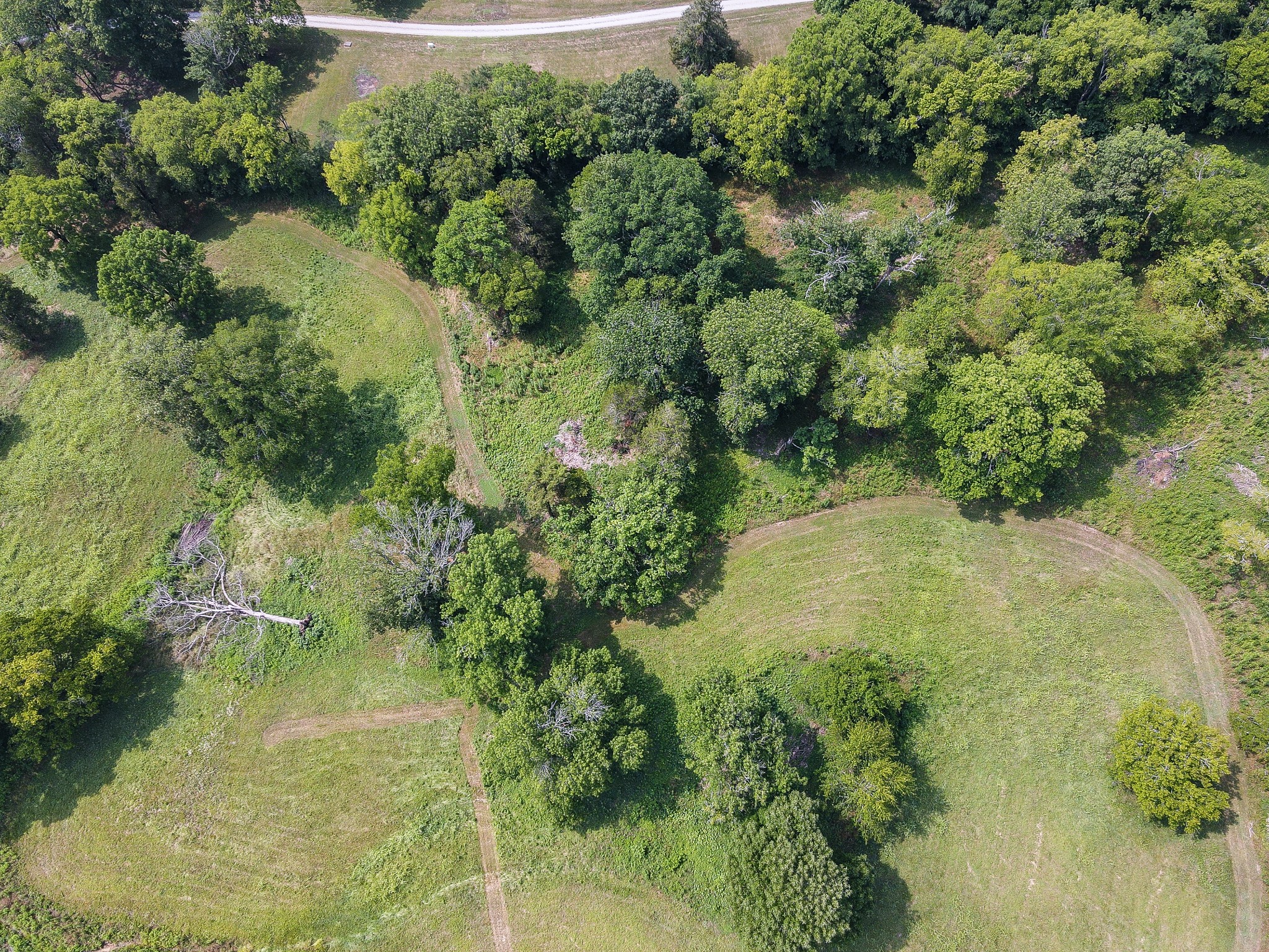 0 Tulloss Road Franklin, TN 37067 - Photo 8 of 19 Gallery Image 8