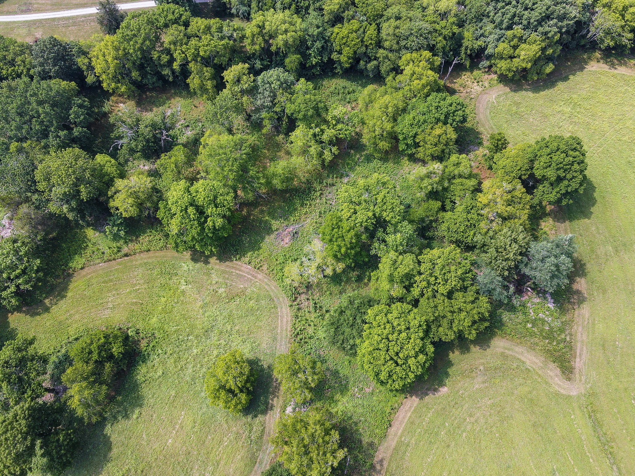 0 Tulloss Road Franklin, TN 37067 - Photo 9 of 19 Gallery Image 9