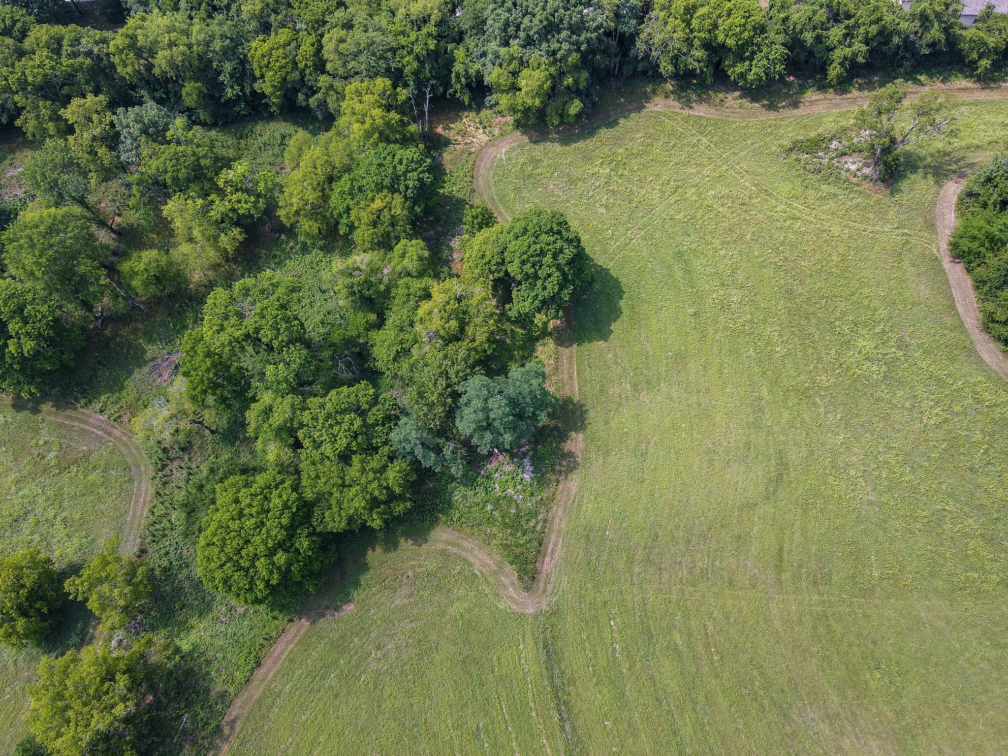 0 Tulloss Road Franklin, TN 37067 - Photo 10 of 19 Gallery Image 10