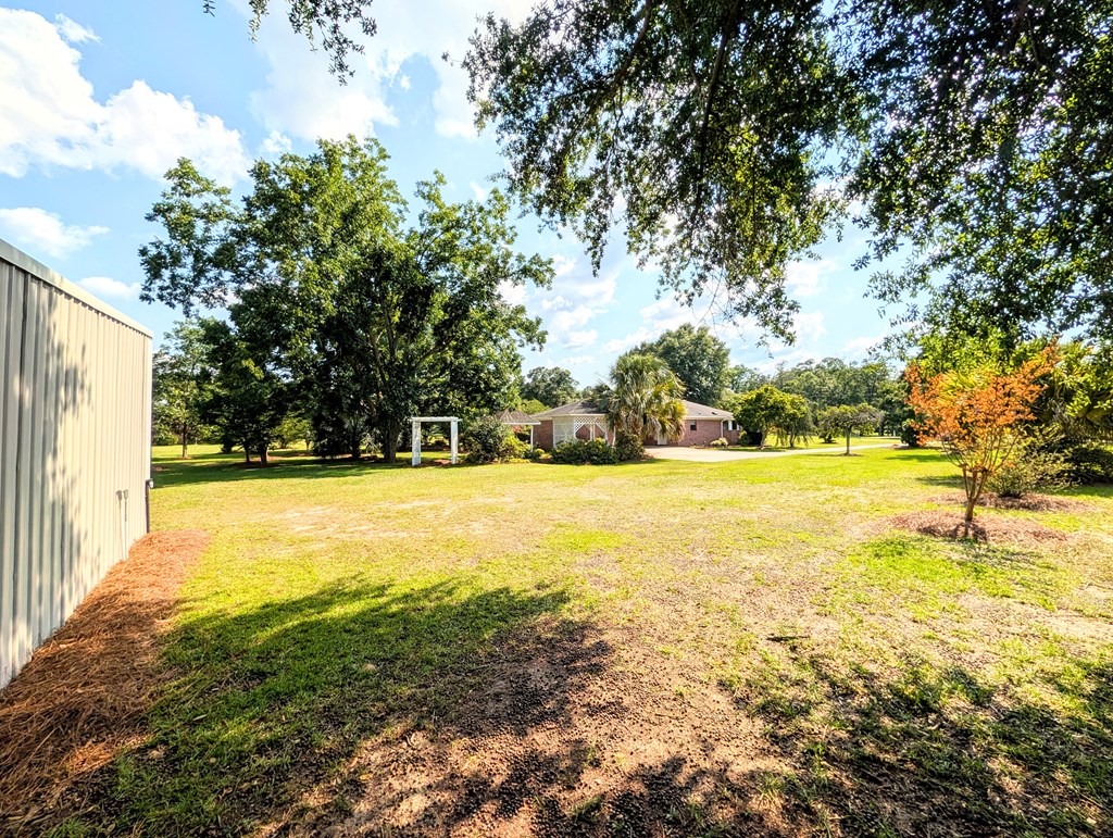 3117 Holland Road Newton, AL 36352 - Photo 54 of 78