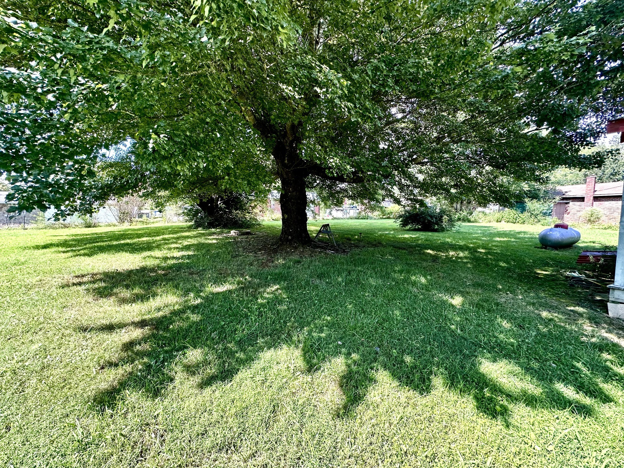 121 Dell Road Gruetli Laager, TN 37339 - Photo 22 of 35 a view of a trees in a yard