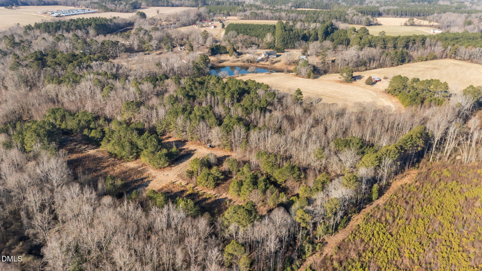 0 Leaflet Church Road Broadway, NC 27505 - Photo 1 of 5 a view of a yard with a tree