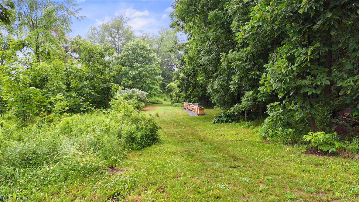 0 Frontz Road Perrysville, OH 44864 - Photo 2 of 4