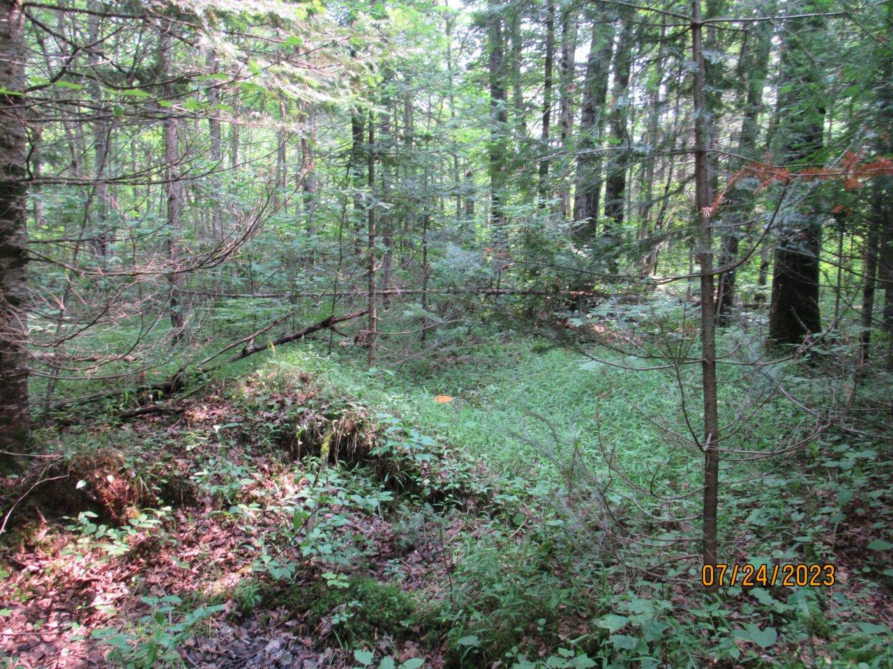 N11107 Highbridge Rd Trail Phillips, WI 54555 - Photo 1 of 8 Gallery Image 1