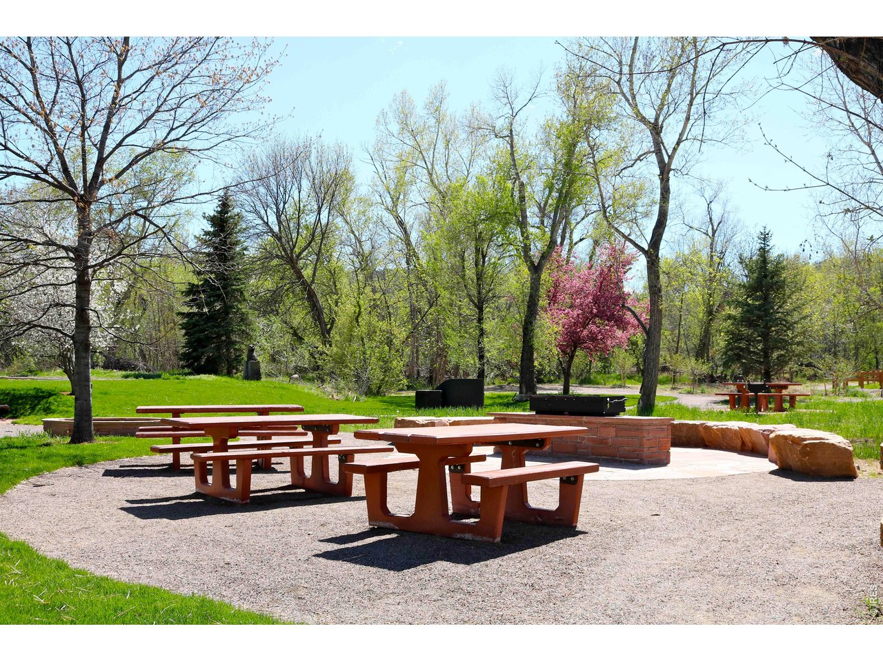 245 High Street Lyons, CO 80540 - Photo 42 of 49 Bohn Park picnic area in spring