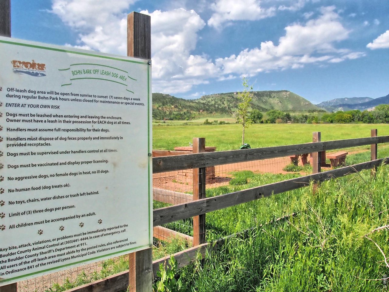 245 High Street Lyons, CO 80540 - Photo 44 of 49 Huge dog park for our four legged friends