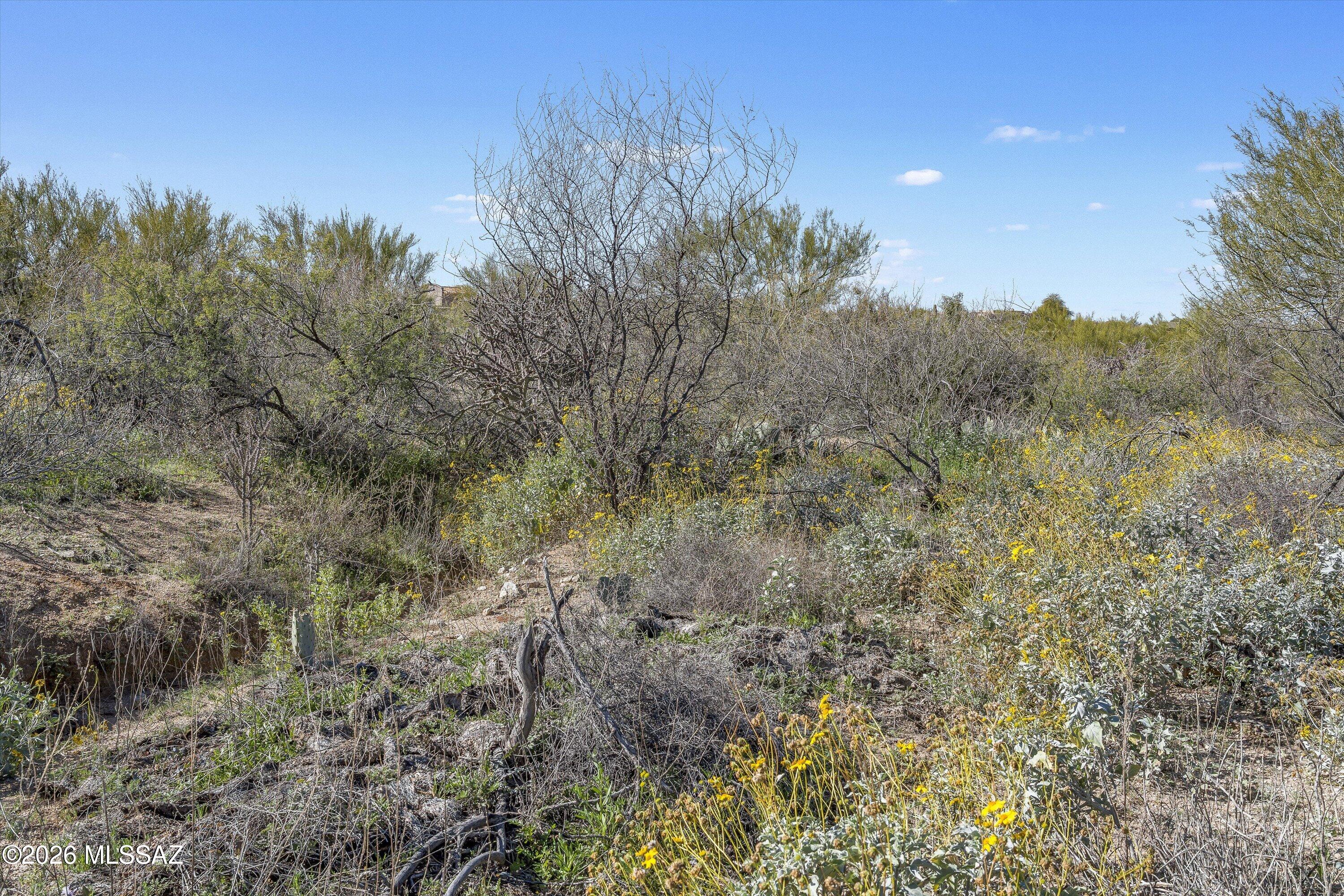 8293 South Tumbling Y Ranch Place, Unit 142 Vail, AZ 85641 - Photo 5 of 30