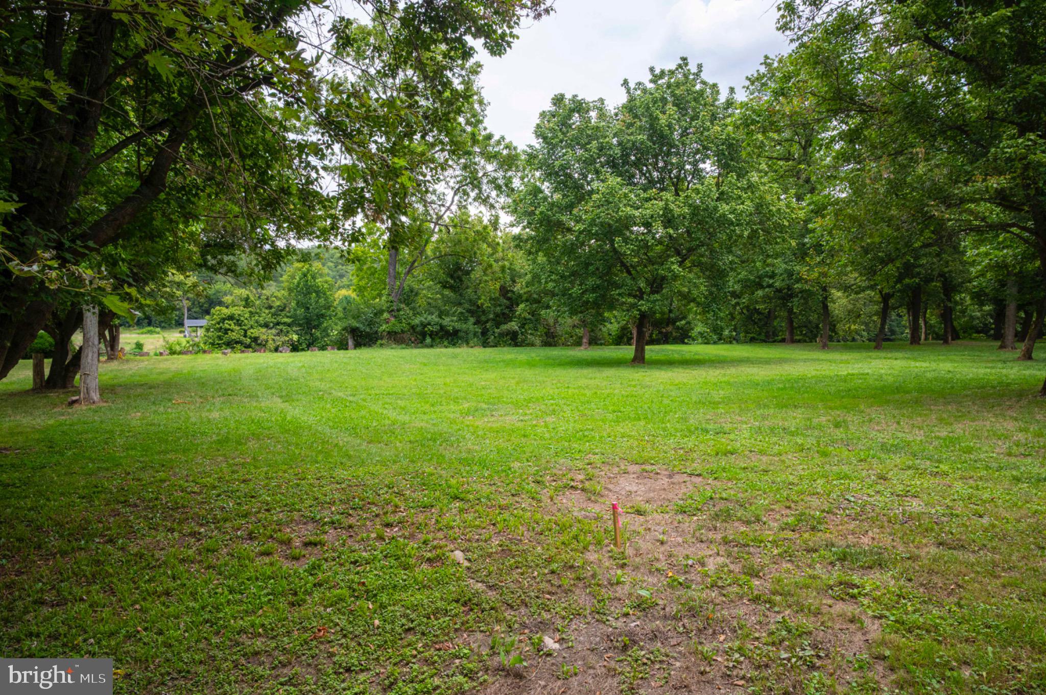 23 Burma Road Front Royal, VA 22630 - Photo 3 of 23 a view of a grassy field with trees