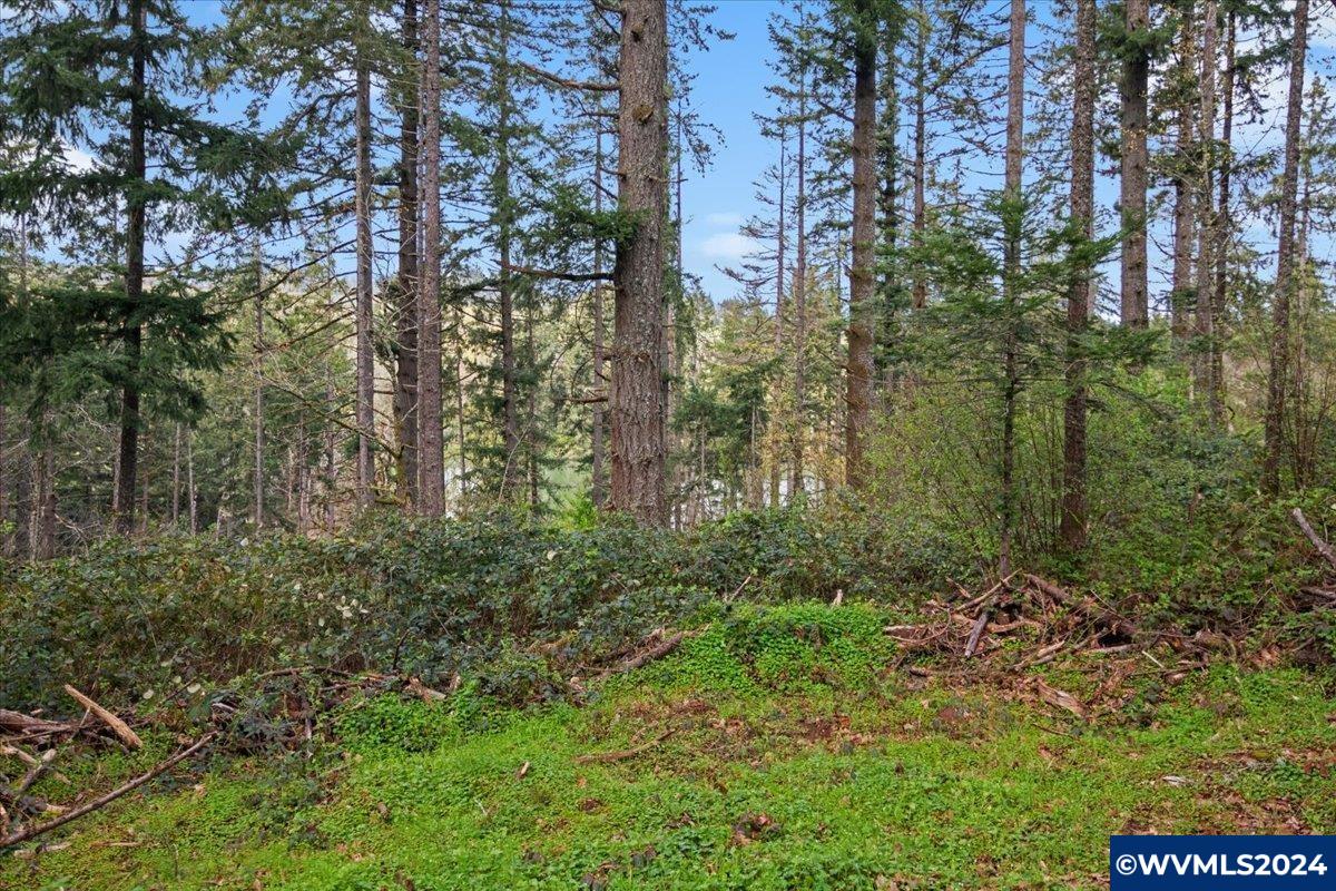 4357 Orchard Heights Road Northwest Salem, OR 97304 - Photo 37 of 38 Gallery Image 37