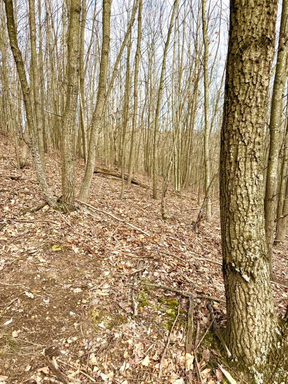 0 Fyffe Hollow Road Chillicothe, OH 45601 - Photo 47 of 96