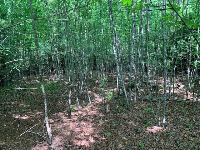 26 Ridge Line Trail, Unit 26 Independence, VA 24348 - Photo 3 of 11 Gallery Image 3