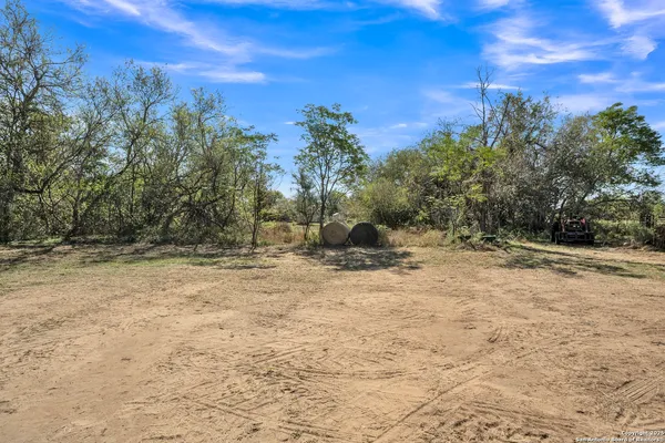 a view of a yard with trees