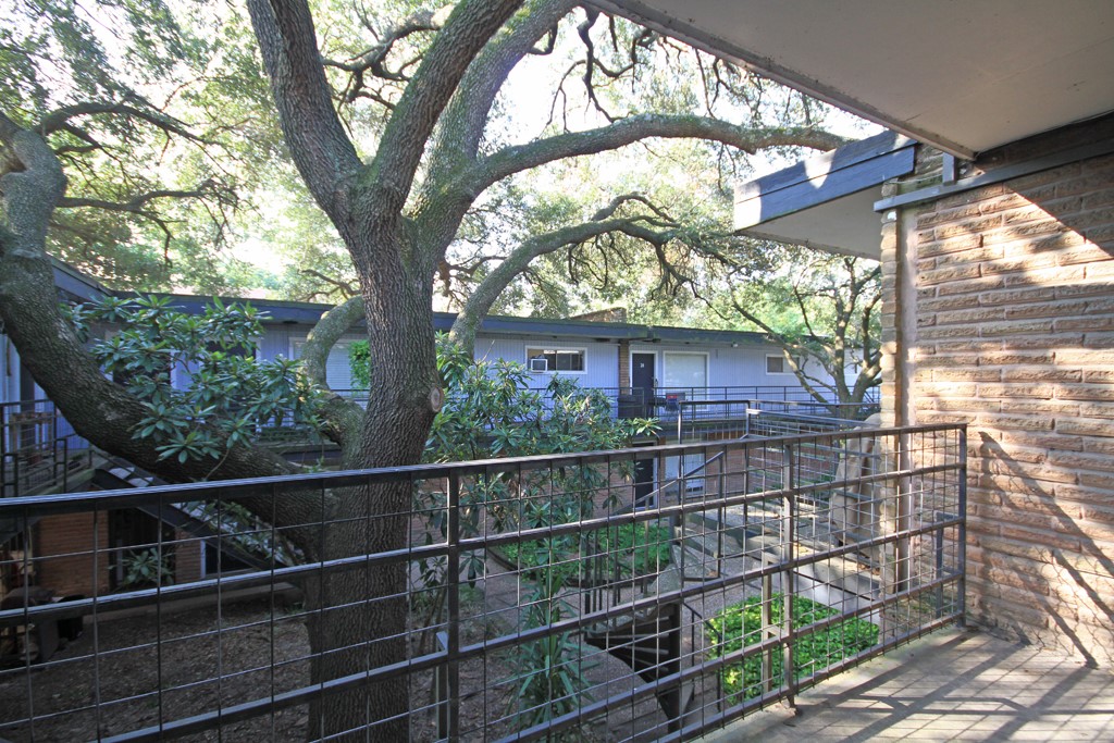 918 Heights Boulevard, Unit 16 Houston, TX 77008 - Photo 6 of 8 a view of a house with a tree and a yard