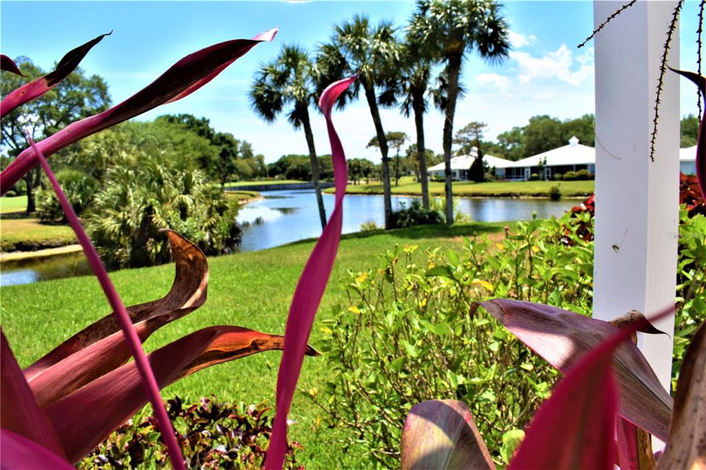 448 Cerromar Road, Unit 189 Venice, FL 34293 - Photo 22 of 48 a view of swimming pool with a table and chairs