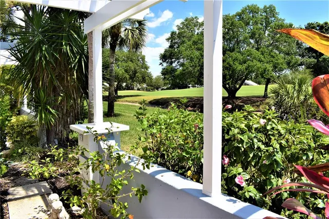 a view of a garden with plants