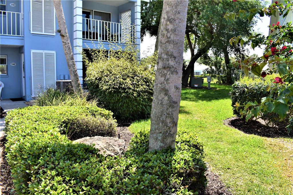 448 Cerromar Road, Unit 189 Venice, FL 34293 - Photo 48 of 48 a view of a garden with pathway