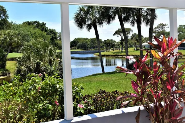 a view of a garden with a tree
