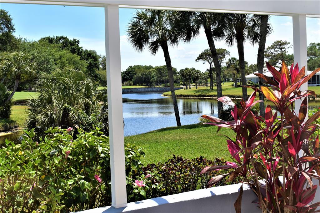 448 Cerromar Road, Unit 189 Venice, FL 34293 - Photo 6 of 48 a view of a garden with a tree
