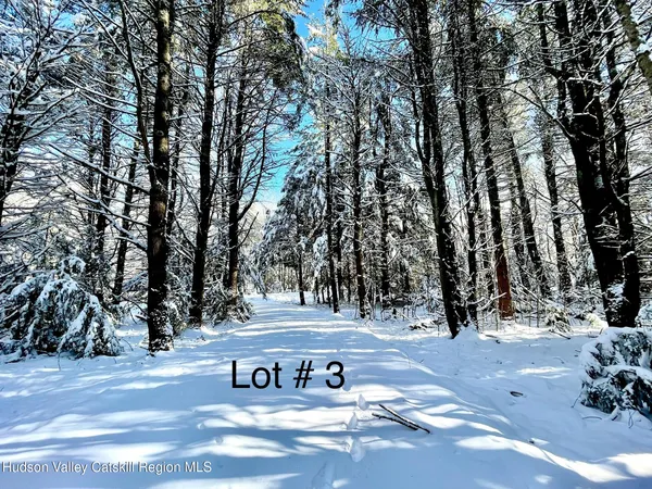 a view of snow on the side of road