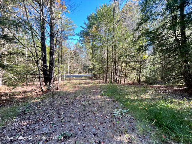 a view of outdoor space with trees