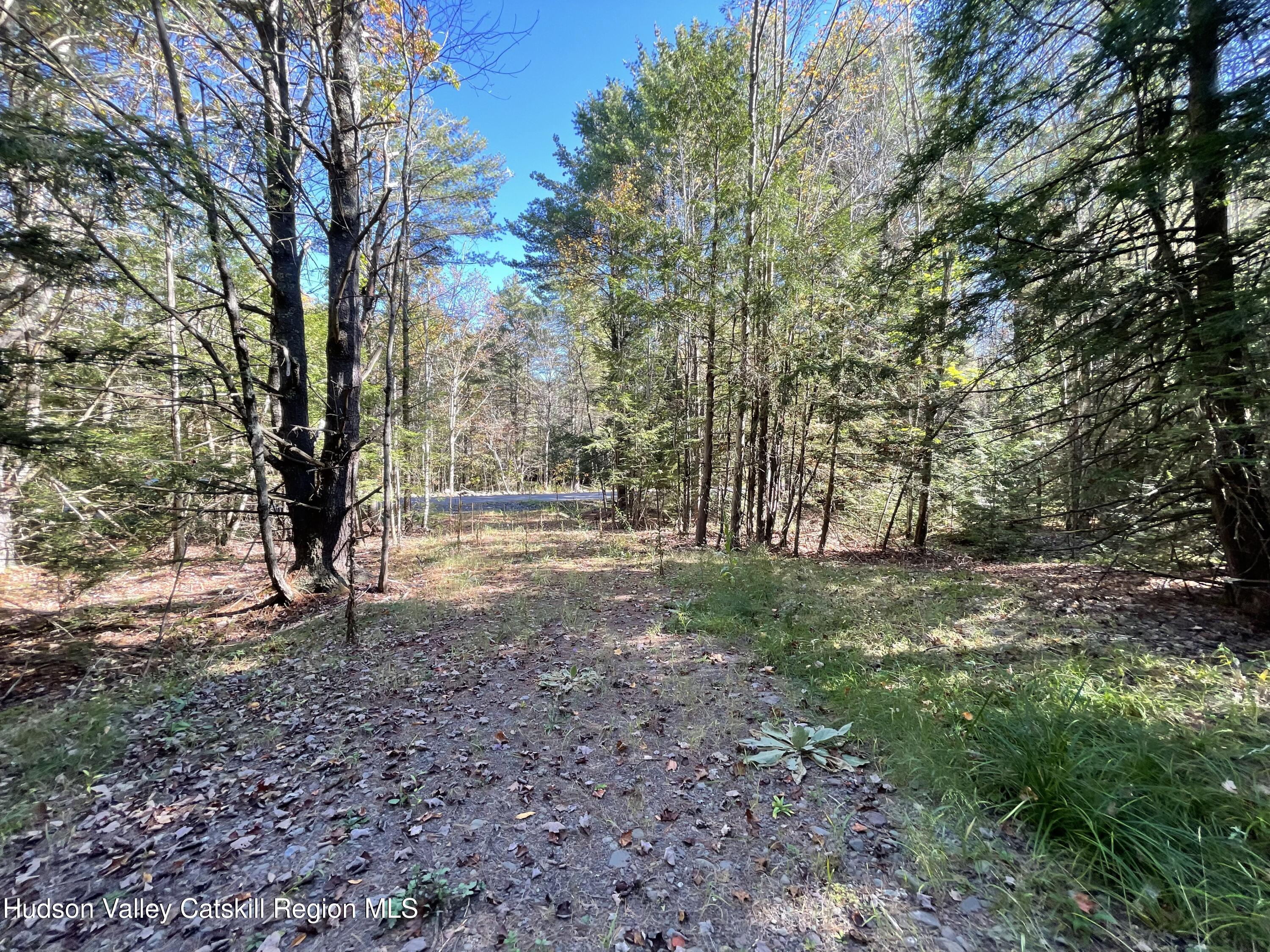 511 Campbell Road Ashland, NY 12496 - Photo 3 of 8 a view of outdoor space with trees