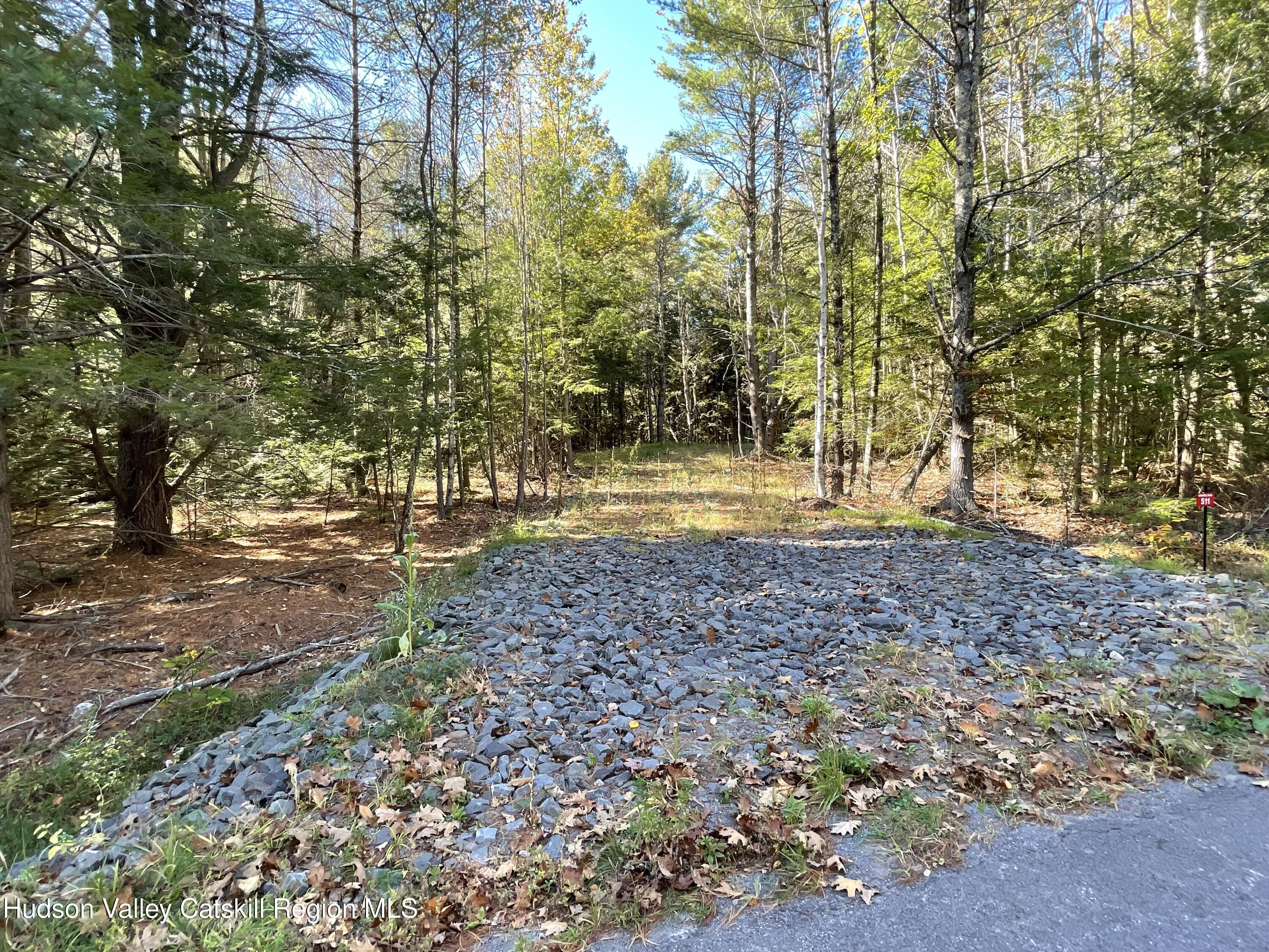 511 Campbell Road Ashland, NY 12496 - Photo 5 of 10 a view of outdoor space with trees