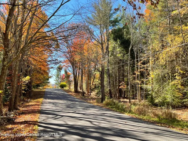 $129,000 | 511 Campbell Road, Ashland, NY 12496