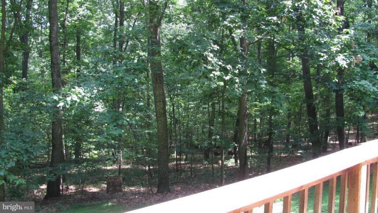 4848 Buffalo Road Mount Airy, MD 21771 - Photo 12 of 18 Wooded View / Acreage