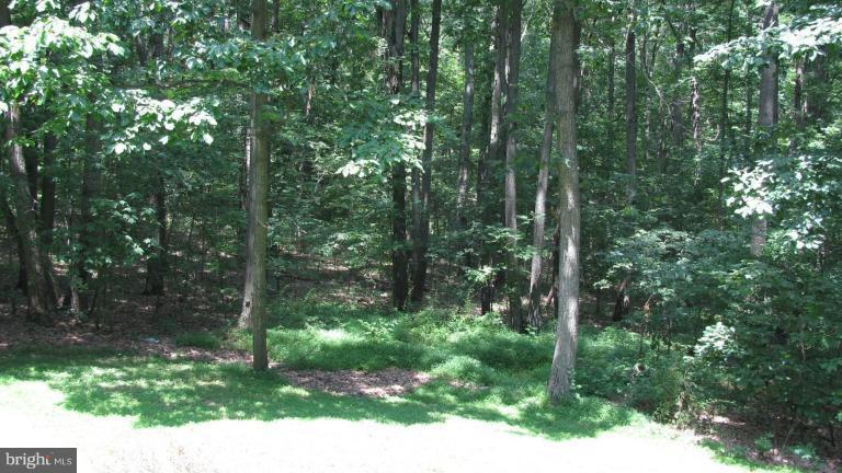 4848 Buffalo Road Mount Airy, MD 21771 - Photo 13 of 18 Wooded View / Acreage 2