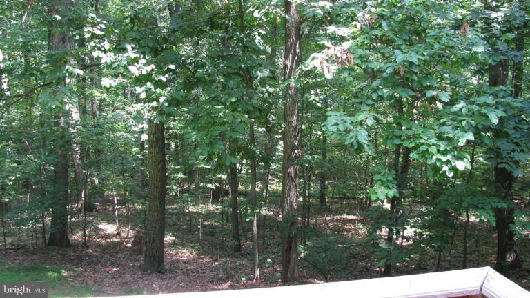 4848 Buffalo Road Mount Airy, MD 21771 - Photo 14 of 18 Wooded View / Acreage 3