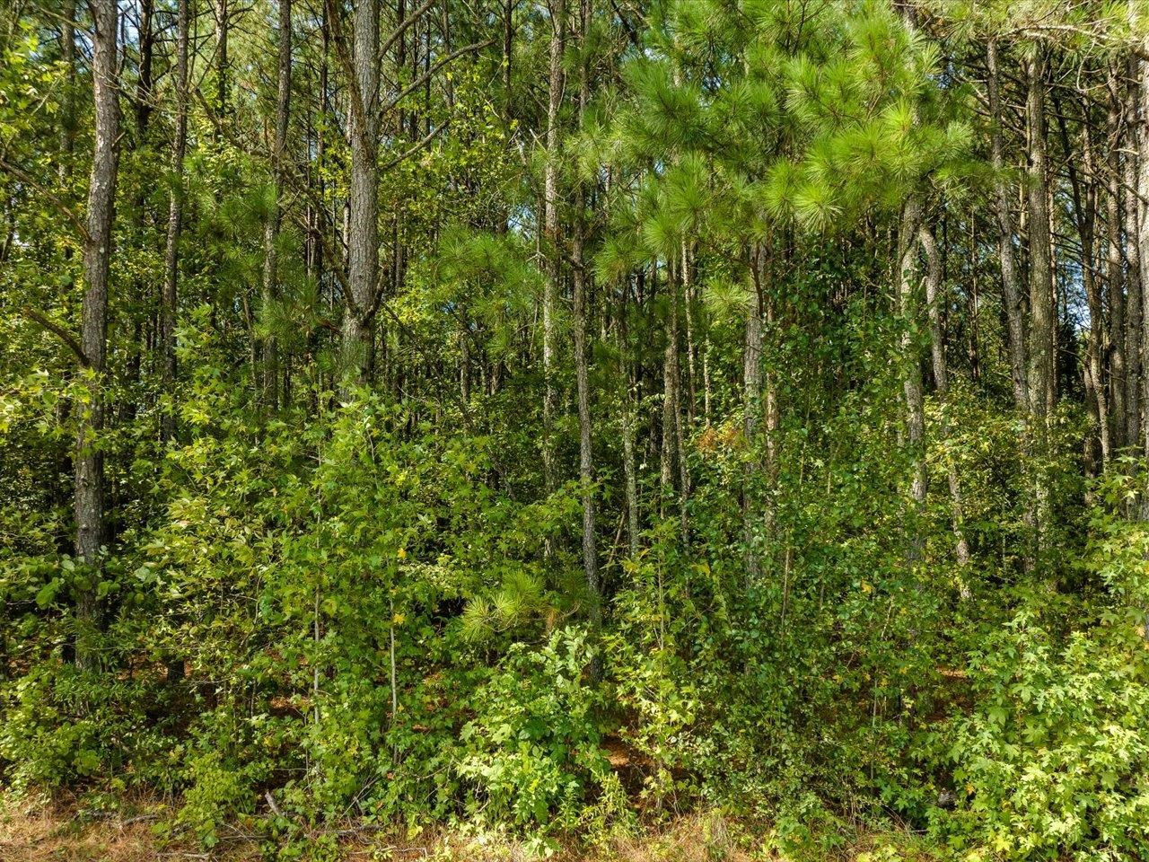 3404 Summerlin Road Durham, NC 27704 - Photo 26 of 33 Photo 26