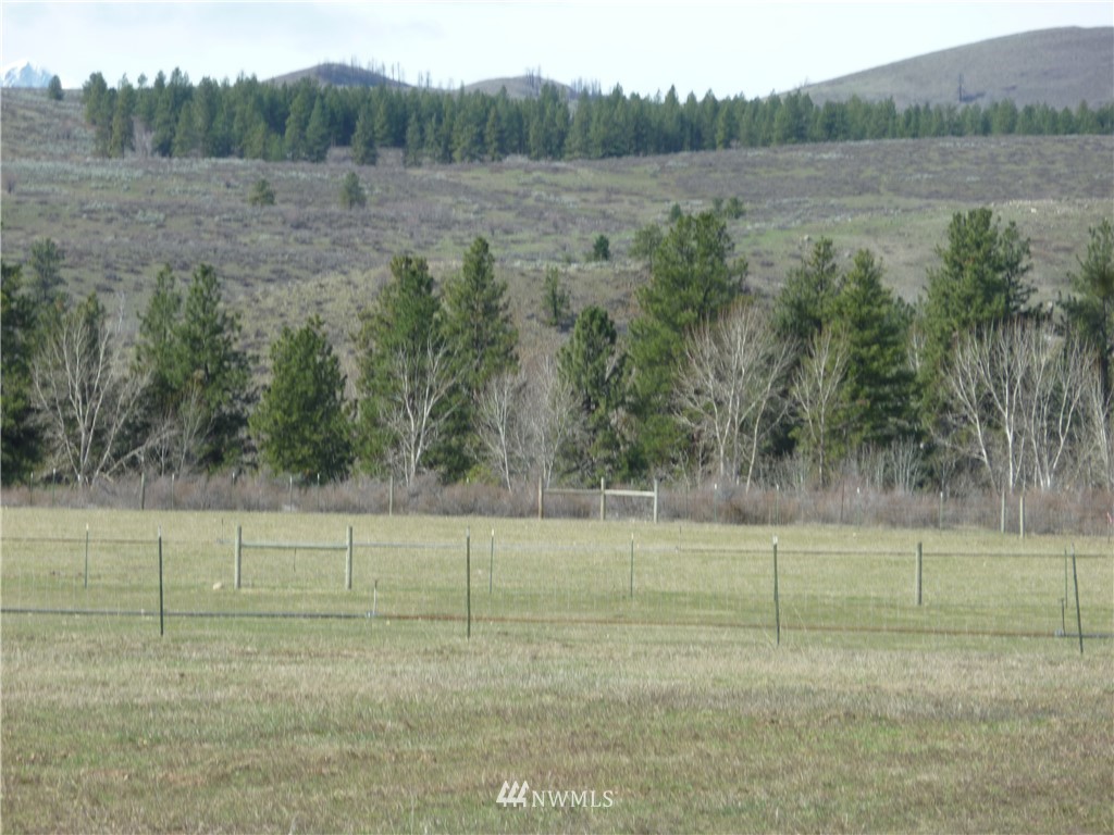 423 East County Road, Unit LOT 3 Winthrop, WA 98862 - Photo 1 of 3 Gallery Image 1