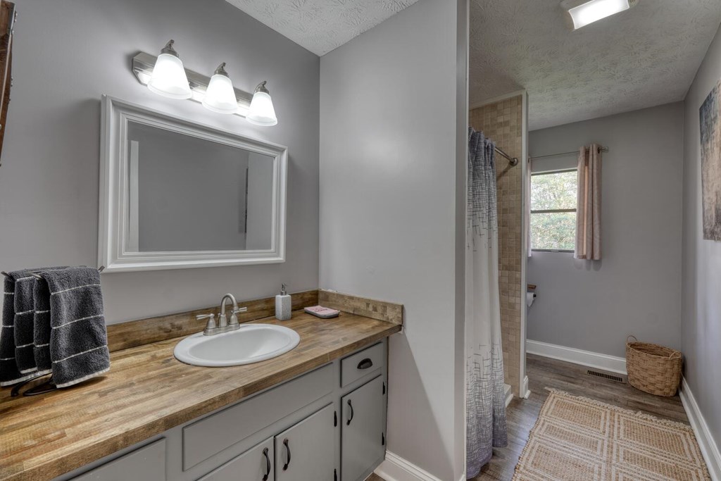 399 Pack Creek Road Blue Ridge, GA 30513 - Photo 32 of 56 Gallery Image 32