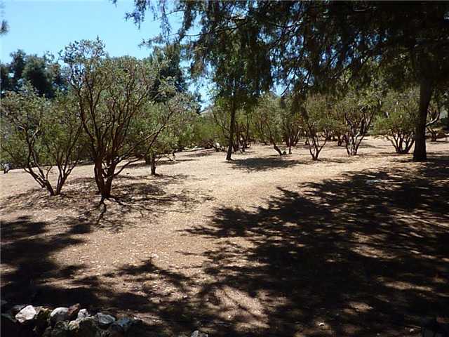 28791 Lebanon Road Pine Valley, CA 91962 - Photo 12 of 13 Gallery Image 12